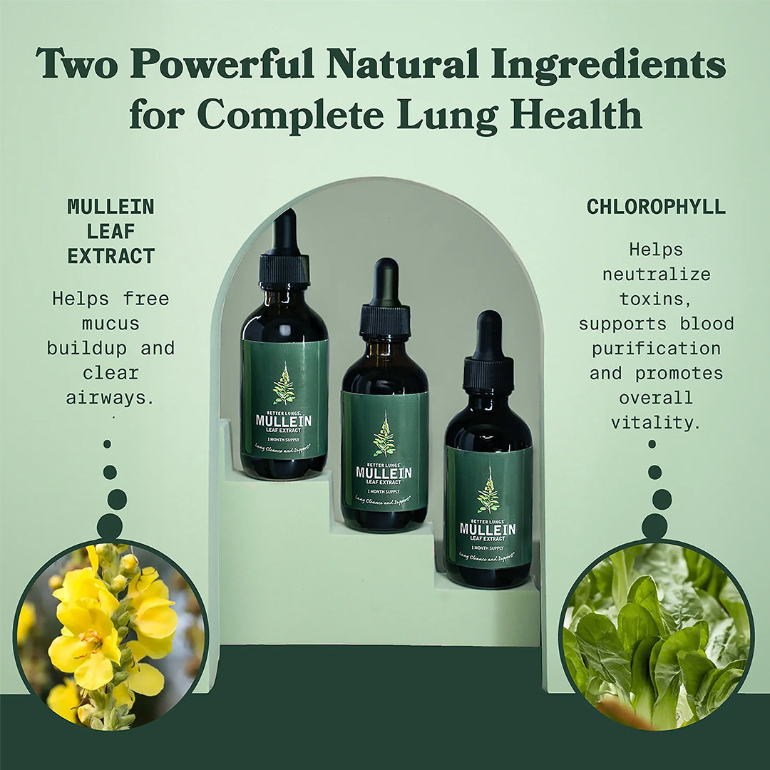 Family Pack - Mullein & Chlorophyll Extract